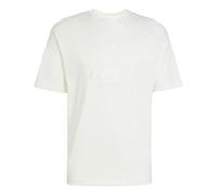 adidas Men's All SZN Embroidered Graphics T-Shirt, Off White, L