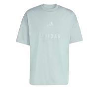 adidas Men's All SZN Embroidered Graphics T-Shirt, Wonder Sage, S