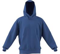 adidas Men's All SZN Fleece Hoodie, ray Blue, S