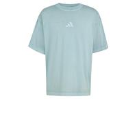 adidas Men's All SZN Washed T-Shirt, Wonder Sage, XL