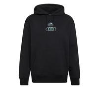 adidas Men's Audi REVOLUT F1 Team TEAMGEIST Hoodie