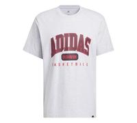 adidas Men's Collegiate Grafik T-Shirt