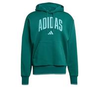 adidas Men's Collegiate Hoodie Collegiate Green/Powder Teal 2XL