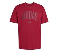 adidas Men's Collegiate Lineage Graphic T-Shirt, Active Maroon, M