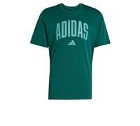adidas Men's Collegiate Lineage Graphic T-Shirt Collegiate Green XL