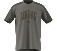 adidas Collegiate T-Shirt Herren KC3417 - silver pebble/olive strata M