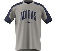 adidas Men's Collegiate T-Shirt, Wonder Alumina/Dark Blue, XXL Tall