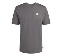 adidas Men's Color ICON Graphic T-Shirt, Grey Five, XS