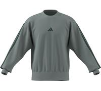adidas Men's Essential Three Stripes Fleece Sweatshirt, Wonder Sage/Collegiate Green, XL