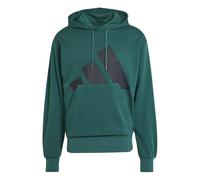 adidas Herren Essentials Big Logo French Terry Hoodie, Collegiate Green/Black, S