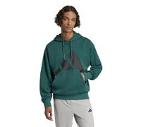 adidas Herren Essentials Big Logo French Terry Hoodie, Collegiate Green/Black, XL