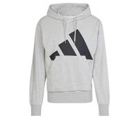 adidas Men's Essentials Big Logo French Terry Hoodie, Medium Grey Heather/Black, L