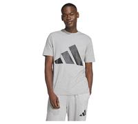 adidas Essentials Big Logo T-Shirt, Farbe Grau, Größe L