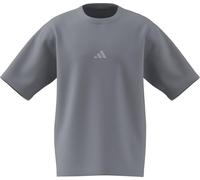 adidas Men's Future Icons SMALL Logo Tee, Halo Silver, S