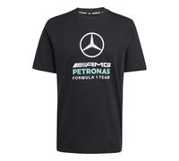 adidas Men's Mercedes - AMG Petronas Formula 1 Team DNA Graphic Tee, Black/semi Mint Rush, S