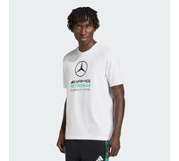 adidas Men's Mercedes - AMG Petronas Formula 1 Team DNA Graphic Tee, White/semi Mint Rush, S