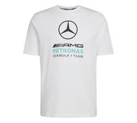 adidas Men's Mercedes - AMG Petronas Formula 1 Team DNA Graphic Tee, White/semi Mint Rush, XXL