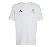 adidas Mercedes - AMG Petronas Formel 1 Team DNA T-Shirt Herren KE8162 - white/semi mint rush L