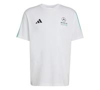 adidas Men's Mercedes - AMG Petronas Formula 1 Team DNA Tee, White/semi Mint Rush, S