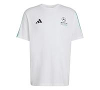 MERCEDES-AMG PETRONAS FORMULA 1 TEAM DNA T-SHIRT White / Semi Mint Rush XL