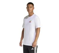 adidas Men's MINI Embroidery Surfing Graphic T-Shirt, White, XL Tall
