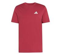 adidas Men's Outdoor Mountain Biking Graphic T-Shirt, Active Maroon, XL