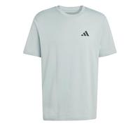 adidas Men's Outdoor Mountain Biking Graphic T-Shirt, Wonder Sage, XXL