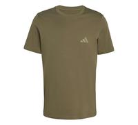 adidas Men's Terrex Mountain Graphic Tshirt, Olive strata, XXL