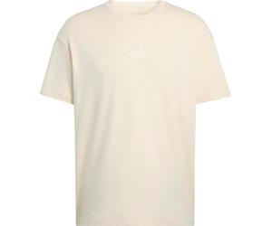 Adidas Men's Terrex Multi Tee Meadow Pack Wonder white M