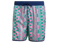 Adidas Tom Daley Swimming Shorts Blau M Herren