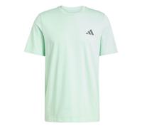 adidas Herren Mercedes - AMG Petronas Formula ONE Team Premium Woven Graphic Tee Men, Frozen Green/Grey strata, M