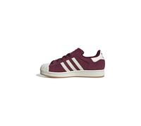 SUPERSTAR SCHUHE Maroon / Off White / Off White 38