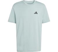 adidas Outdoor Mountain Biking Graphic T-Shirt Herren KG5411 - wonder sage 4XL