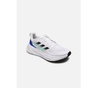 adidas performance - Sportschuhe Questar M - Weiß - Größe 40