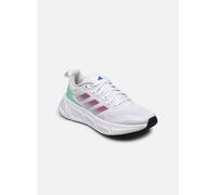 adidas performance - Sportschuhe Questar W - Weiß - Größe 36