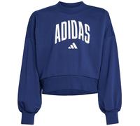 Adidas Kinder Essentials Collegiate Sweatshirt blau 140