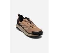 Adidas Wanderschuhe Terrex Anylander Cardboard/Blanch Cargo/Shadow Olive Herren Größe 43 1/3