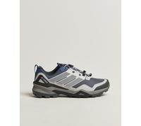 adidas Performance Terrex Skychaser Blue/Grey Blau UK10,5-EU45 1/3