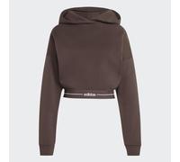 Adidas Q1 HYG HOODIE Gr. M