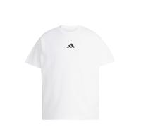 Adidas Running Category Graphic T-Shirt M / White