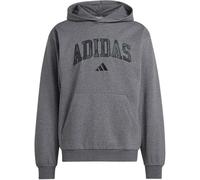 Adidas Seasonal Essentials Camo Hooded Herren Kapuzensweater, grau 5XL