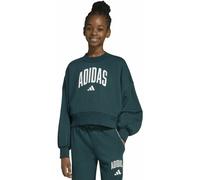 adidas Seasonals Essentials Collegiate Graphics Jr - Sweatshirt - Mädchen 9-10A Dark Green