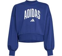 Adidas Seasonals Essentials Collegiate Typography Crew Sweatshirt Kinder | blau | Kinder | 128 | JM1535 128