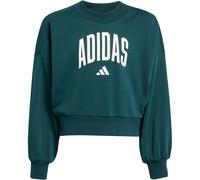 Adidas Seasonals Essentials Collegiate Typography Crew Sweatshirt Kinder | grün | Kinder | 170 | JV7377 170