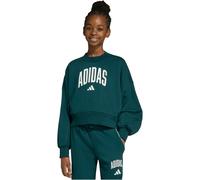 Adidas Seasonals Essentials Collegiate Typography Crewneck Sweatshirt 7-8 Jahre Aurora Ivy / White