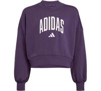 adidas Seasonals Essentials Collegiate Typography Crew Sweatshirt Mädchen JV7379 - aurora plum/white 164