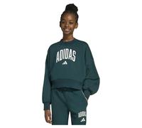 Adidas Seasonals Essentials Collegiate Typography Crewneck Sweatshirt 9-10 Jahre Aurora Ivy / White