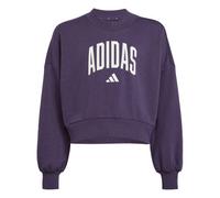 Adidas Seasonals Essentials Collegiate Typography Crewneck Sweatshirt Kids 152