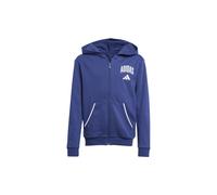 adidas Seasonals Essentials Collegiate Typography Full-Zip Hoodie Kinder - blau/weiß - 164
