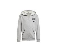 adidas Seasonals Essentials Collegiate Typography Full-Zip Hoodie Kinder - grau/schwarz - 176